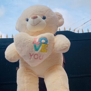 cute teddy bear add-on gifts in Lagos