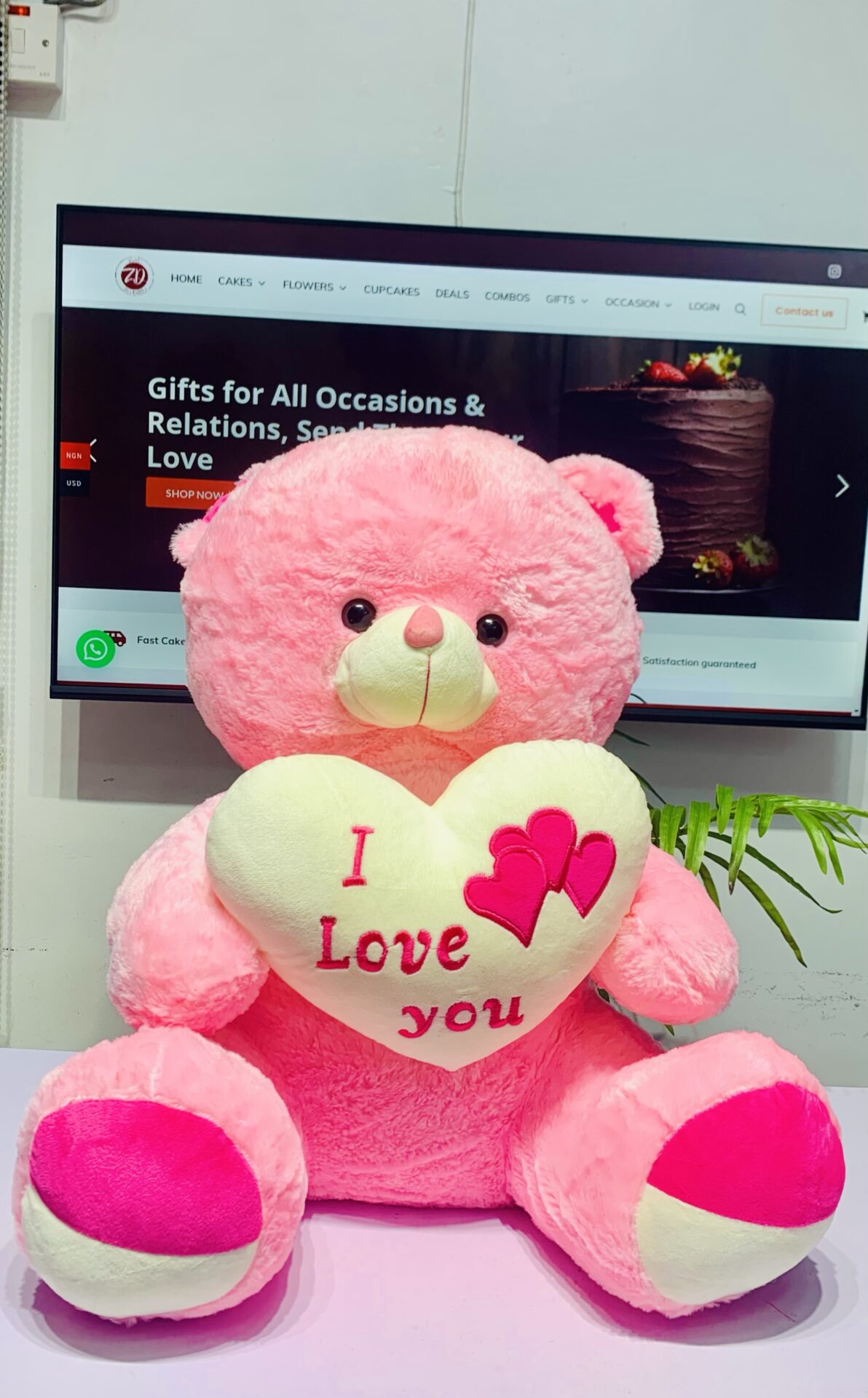 50cm Medium Teddy Bear - Image 2