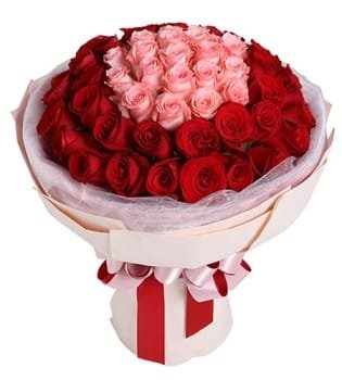 Classic Aura Mixed Roses