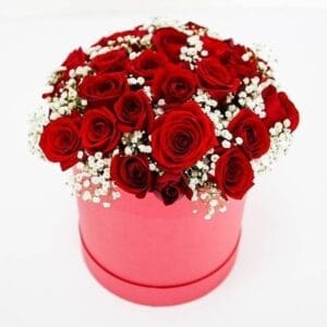 Promise - Luxury Red Roses & Gypso