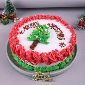 Merry christmas cake