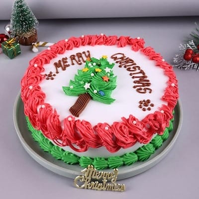 Merry christmas cake