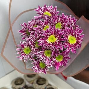 Chrysanthemum bouquet