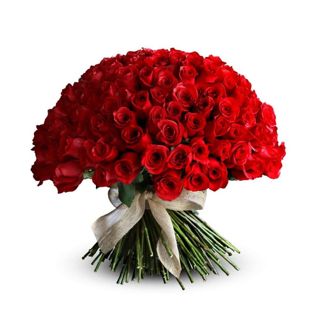 Romantic Red Roses