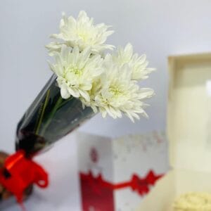 A Stem Of Chrysanthemum