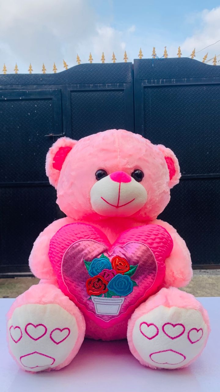 Same-Day Teddy Bear Delivery in Lagos