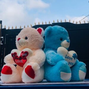 Valentines teddy bear gifts Lagos